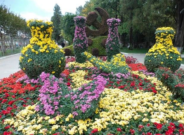 菊花展工程